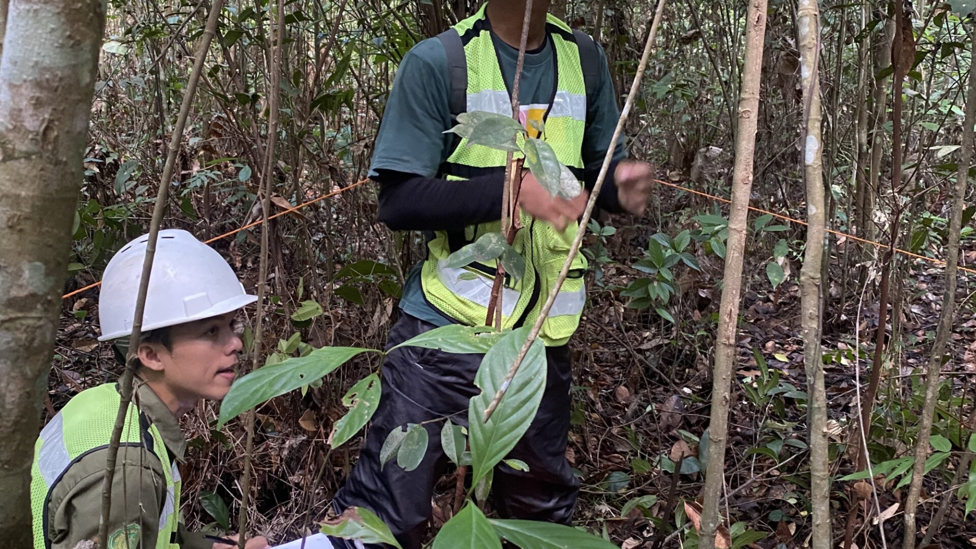 Perusahaan Kontraktor Pertambangan dan Konstruksi