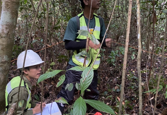 Perusahaan Kontraktor Pertambangan dan Konstruksi