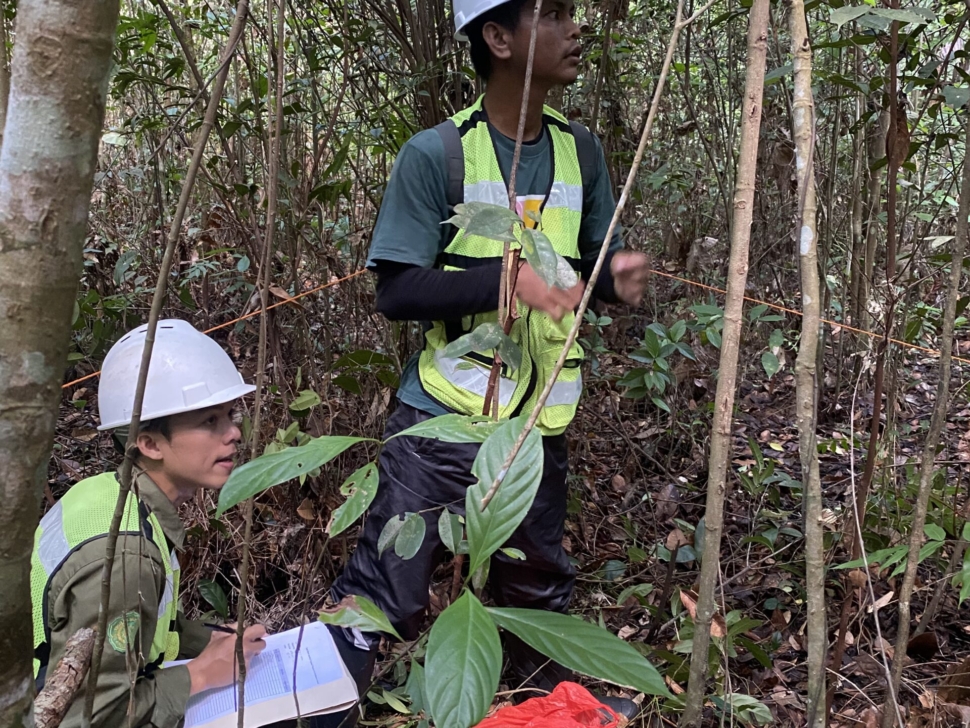 Perusahaan Kontraktor Pertambangan dan Konstruksi