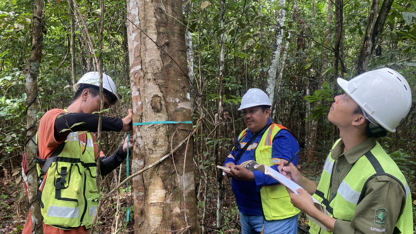 Perusahaan Kontraktor Pertambangan dan Konstruksi (Drilling Service, Konstruksi Sipil, Survei dan Pengangkutan)