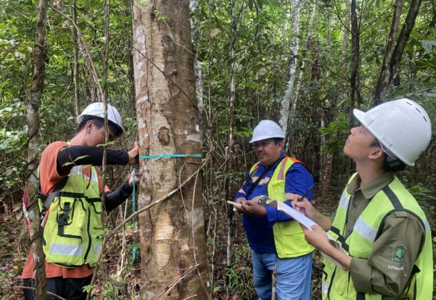 Perusahaan Kontraktor Pertambangan dan Konstruksi (Drilling Service, Konstruksi Sipil, Survei dan Pengangkutan)